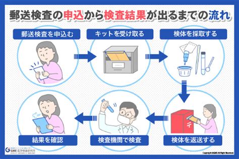 自宅でできる性病検査の信頼性は？ 精度や選び方のポイントを紹介 Gme医学検査研究所