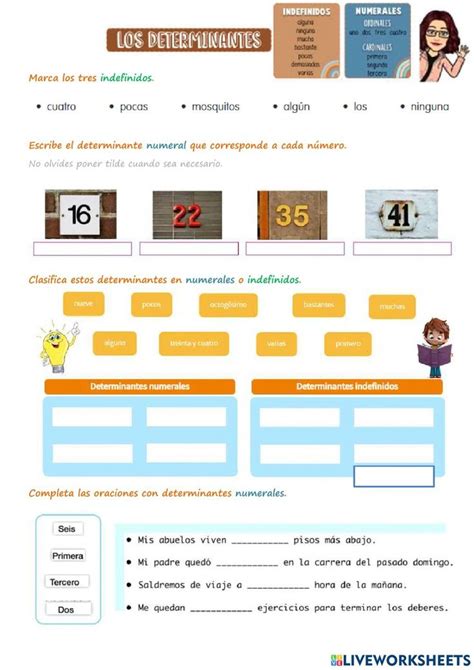 Determinantes Numerales E Indefinidos Exercise Numerales Ordinales