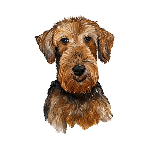 Hund airedale terrier aquarellmalerei entzückendes welpentier