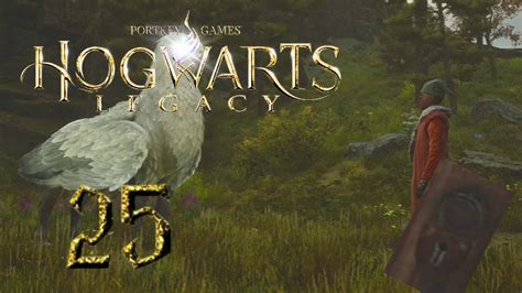 Hogwarts Legacy 25 Des créatures magiques et des serrures YouTube