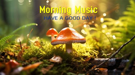 The Best Good Morning Music Wake Up Fresh And Happy Calm Morning