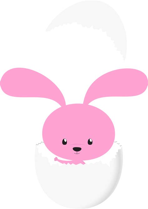 New Born Bunny Cartoon Bunny Easter Bunny Cute Pink Bunny In Egg Clipart Myfreedrawings