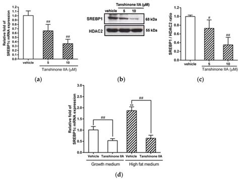 Biomedicines Free Full Text Tanshinone IIA Downregulates Lipogenic