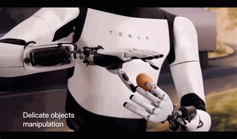 Elon Musk Presenta Su Robot Humanoide Que Es Capaz De Manipular Objetos