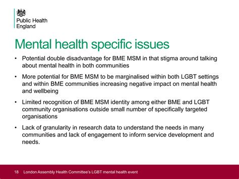 Understanding The Mental Health And Wellbeing Of Lesbian Gay Bisexual
