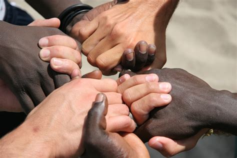 Tesina Terza Media Sul Razzismo Pronta Testo E Collegamenti Studenti It