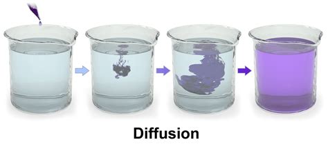 Diffusion Assessment