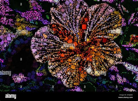 Hibiscus Mosaic Hi Res Stock Photography And Images Alamy