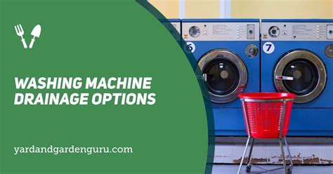 Washing Machine Drainage Options