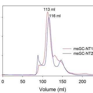 2 Size Exclusion Chromatographic Elution Profiles Of MsGC NT 6 Mg Of