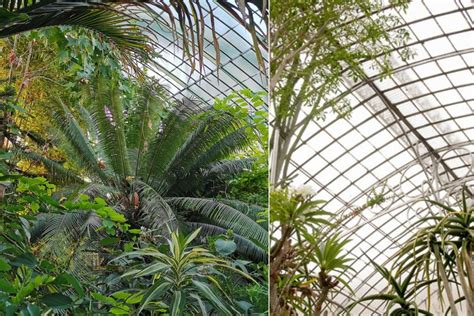 Discover Pariss Most Beautiful Greenhouses For A Change Of Scenery