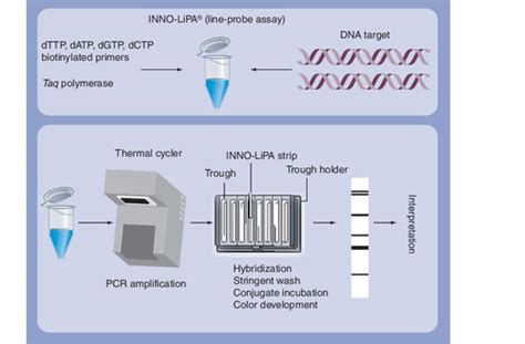 Full Article Rapid Diagnosis Of Drug Resistant Tb Using Line Probe