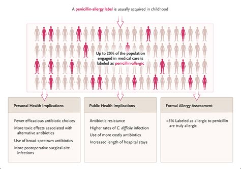 Penicillin Allergy Symptoms And Treatment Womens Alphabet Images