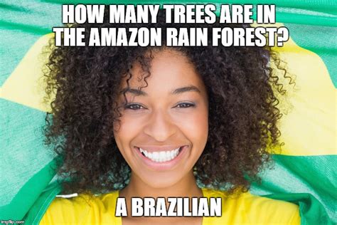 Brazilian Puns Imgflip