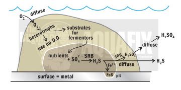 Hydrogen Sulfide Gas in Wastewater - Aquafix