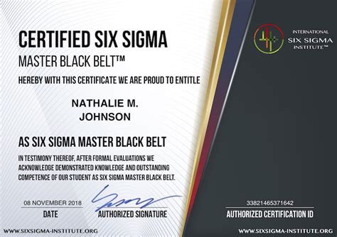 Lean Six Sigma Master Black Belt Training Online - Belt Poster