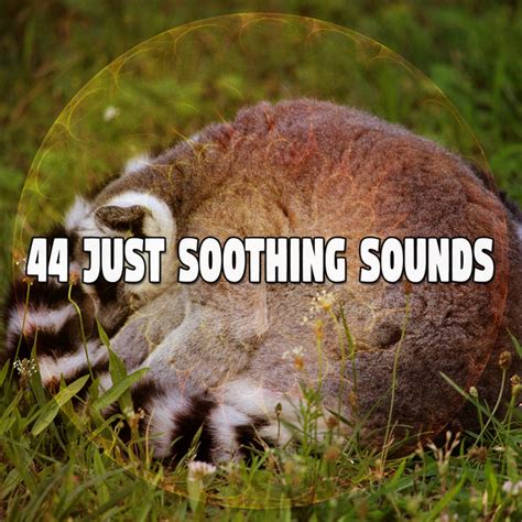 44 Just Soothing Sounds Album By Sleep Makers Samples Spotify