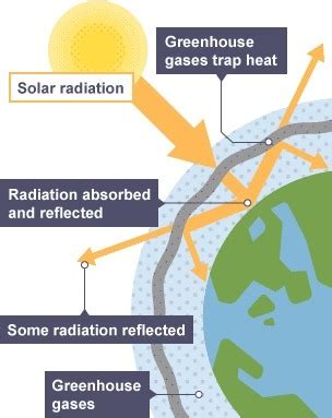 Climate Change Flashcards Quizlet