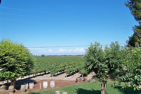 Bogle Winery Clarksburg Aktuell Für 2022 Lohnt Es Sich Mit Fotos