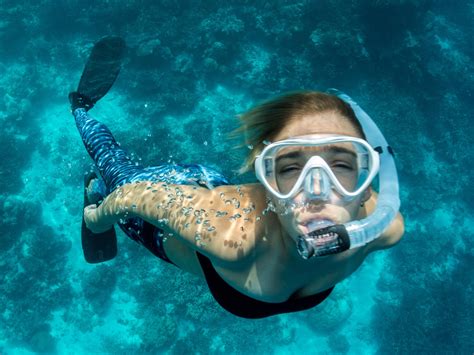 Home — Dive Bermuda at Fairmont Southampton