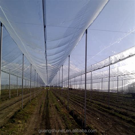 Anti Hail Nets For Apple Tree Agriculture Anti Hail Net Anti Hail Net