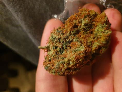 Orange Weed Nugs