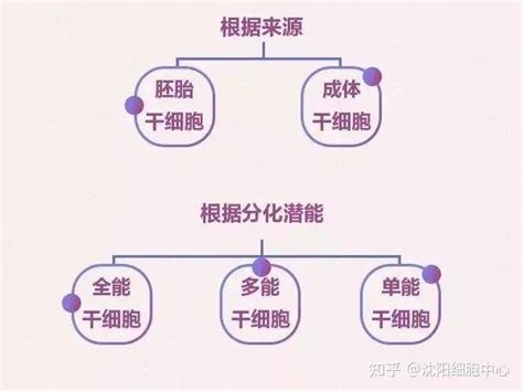 6大趋势告诉你，中国干细胞治疗前景非常可观 知乎