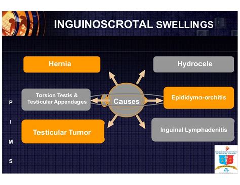 Inguinoscrotal Swellings A Problem Oriented Approach