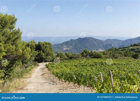 Wanderweg In Der Region Mont Ventoux Berg Und Dentelles De Montmirail