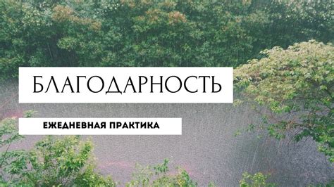 ежедневная практика благодарности - YouTube