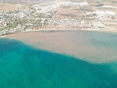 Arrojan Aguas Negras En Playa De El Sauzal By Editorial El Vigia Issuu