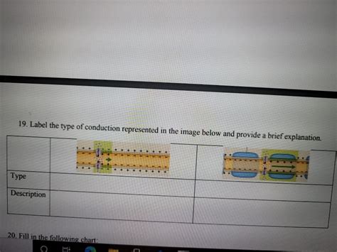 Answered 19 Label The Type Of Conduction Bartleby