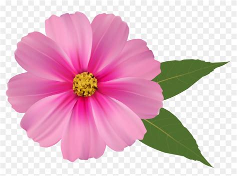 Pink Flower Png Image Clipart Hd Background Flowers Png Free