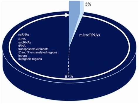 Coding And Non Coding Dna In Human Genome Download Scientific Diagram