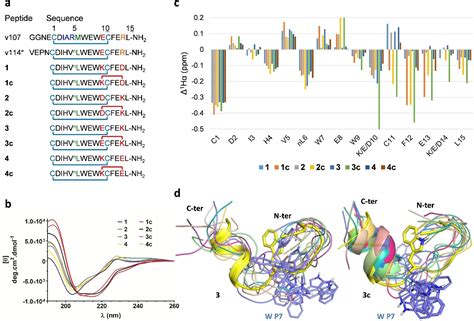 Structural And Itc Characterization Of Peptideprotein Binding