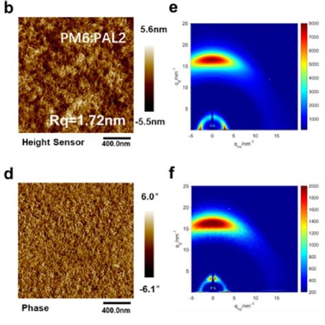 A B Afm Height Images With Scale Up Of Pm Pal And Pm Pal Blend