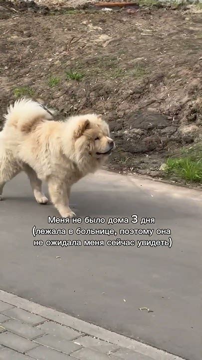 Соскучилась ️ - YouTube