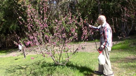 20190328 Vlog Peach Tree Spraying Youtube