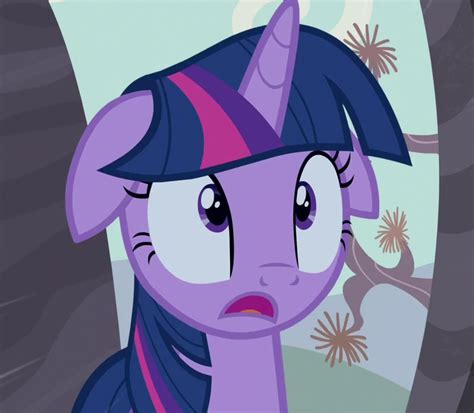 Twilight Sparkle S Shocked Face Blank Template Imgflip