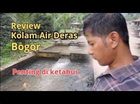 Budidaya Ikan Mas Sistem Kolam Air Deras Review Kolam Air Deras Di