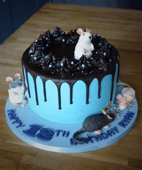 Rat Cake Design Images (Rat Birthday Cake Ideas) | Cake, Pretty cakes ...