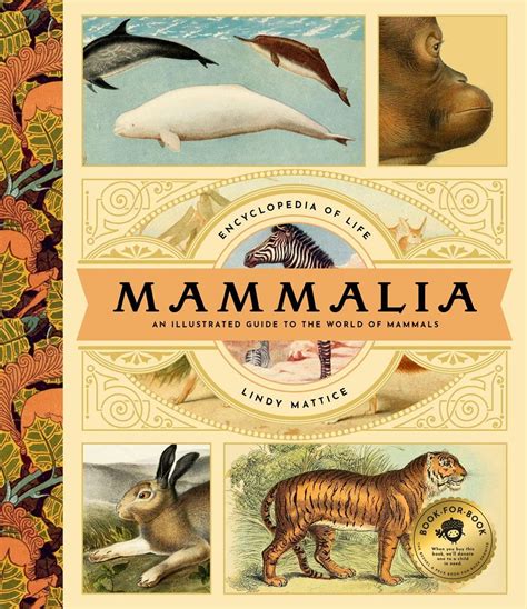 Buy Mammalia An Illustrated Guide To The World Of Mammals The Chart And Map Shop