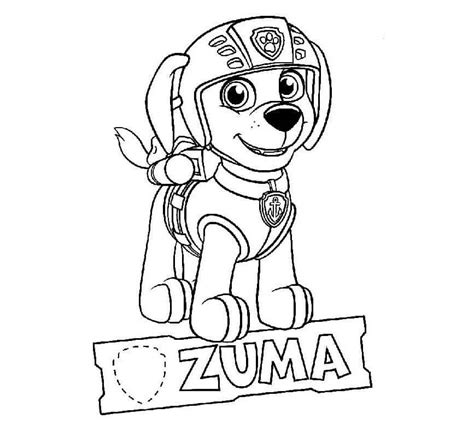 Patrulla Canina Zuma Para Colorear Imprimir E Dibujar Coloringonly