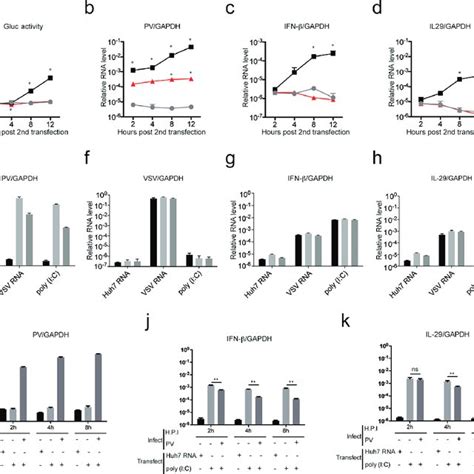 Poliovirus Pv Replicating Rna Elicits Ifn Production A C Huh