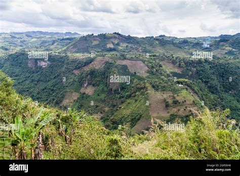 Valley Of Magdalena River In Colombia Stock Photo Alamy