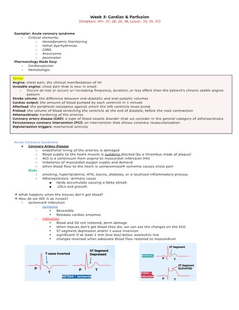 File N Week Cardiac Perfusion Chapters Ati