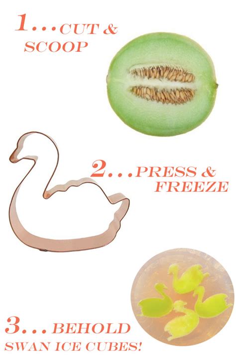 Honeydew Melon Swan Ice Cubes Kelly Golightly