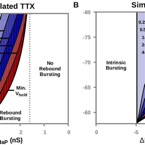 Hyperpolarized Holding Potential V Hold And Duration Color Coded