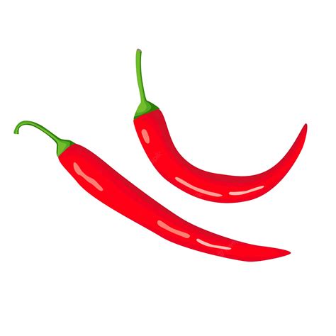 Premium Vector Red Hot Chili Pepper Spicy Food Vector Clipart Isolate