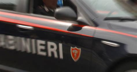 Carabinieri Abruzzo I Cuccioli Di Amarena Si Sono Ricongiunti E